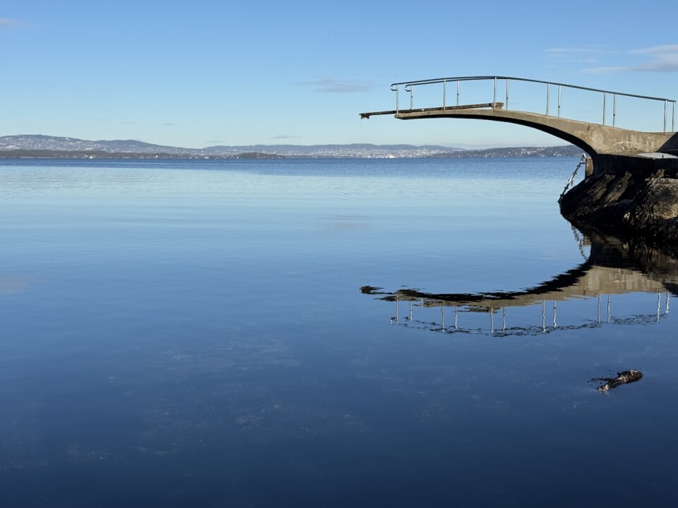 Een sprong van de hoge