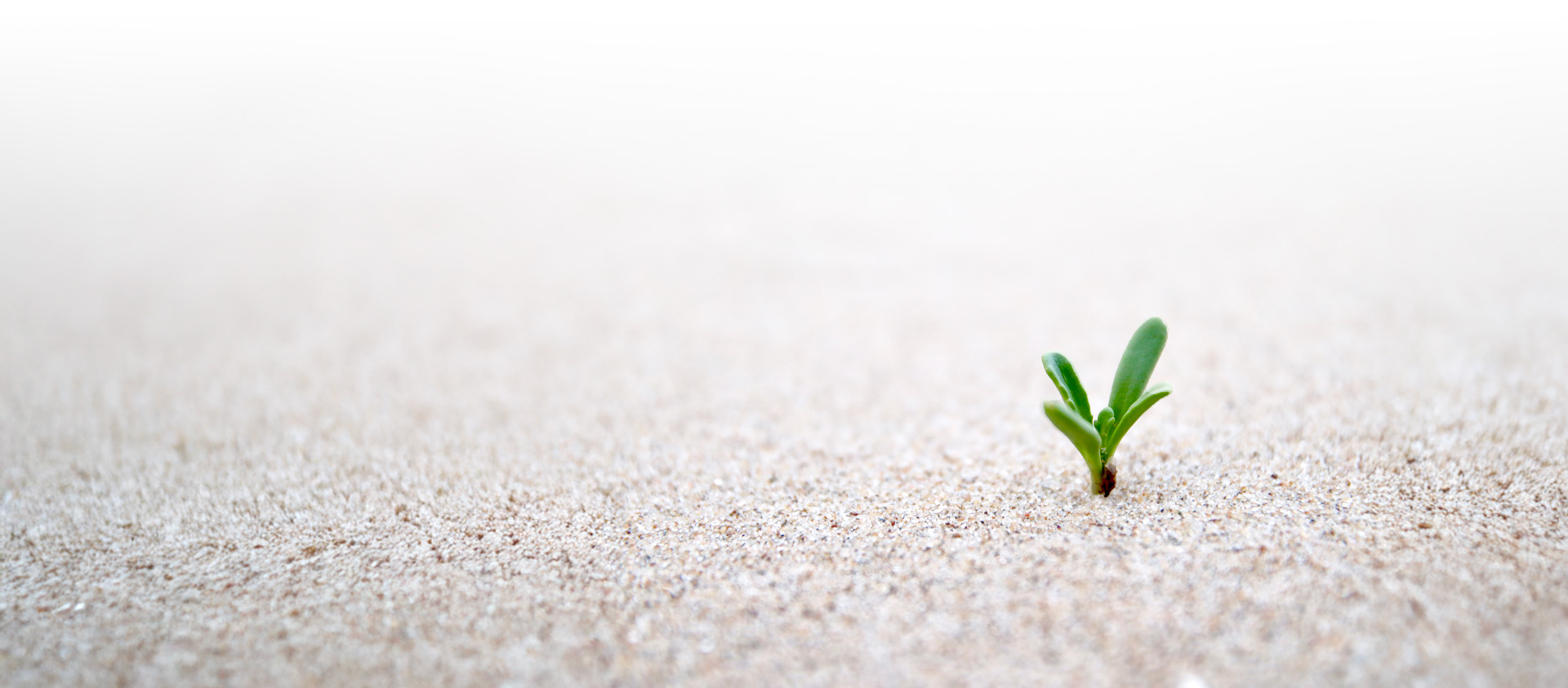 Opvallen in het zorglandschap